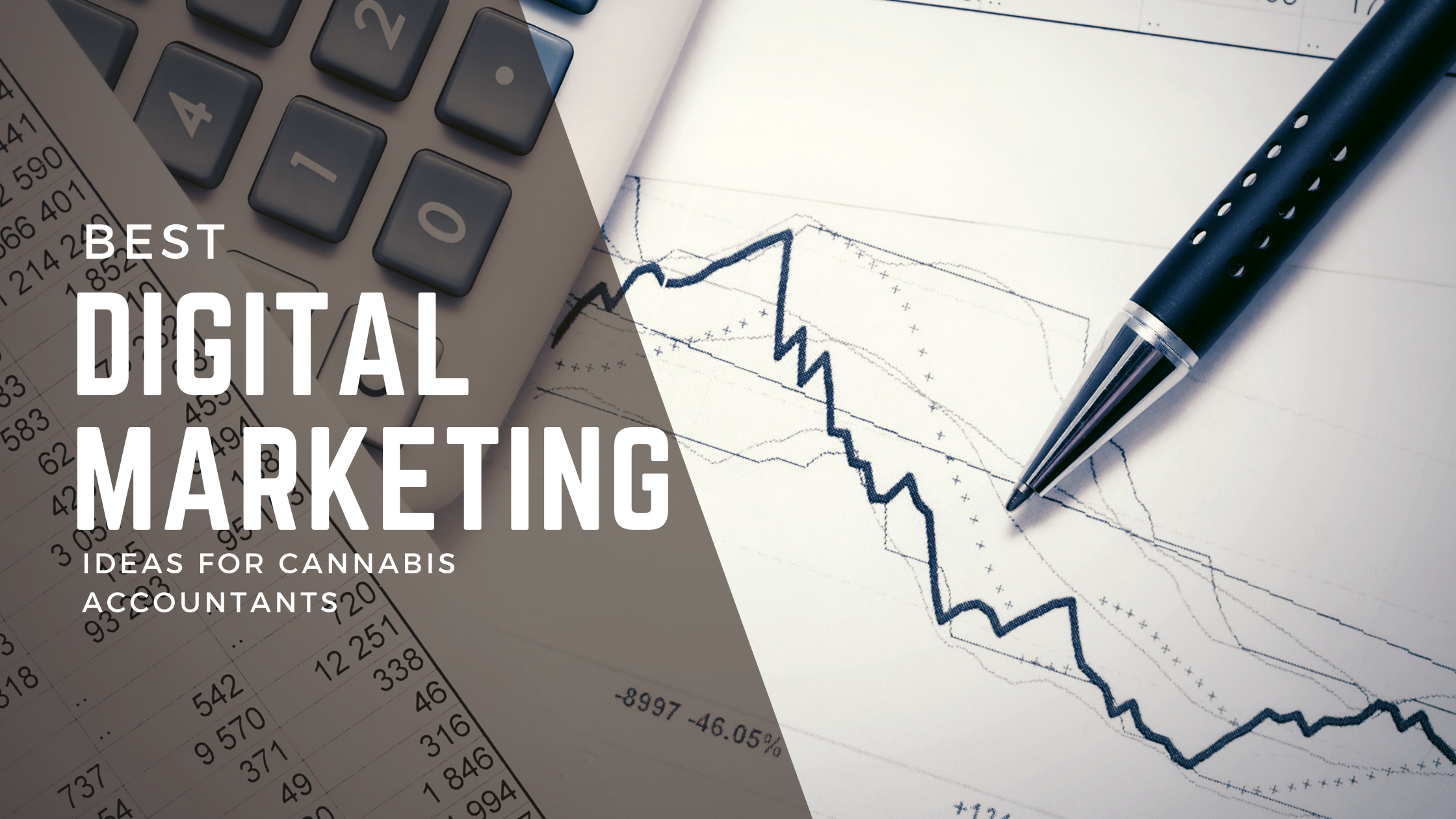 cannabis accounting marketing